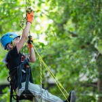 注視著樹頂?shù)墓庥?，設(shè)定小小的目標(biāo)，努力在有限的時(shí)間內(nèi)達(dá)到樹冠層。