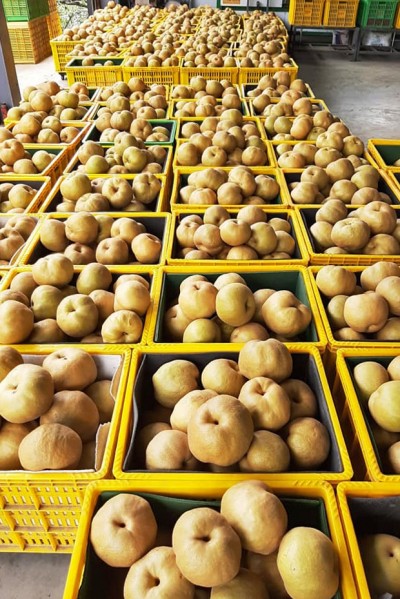 支持在地小農(nóng)