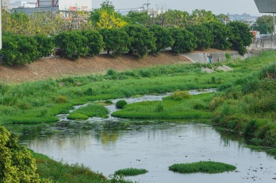 新業(yè)愛(ài)地球｜淨(jìng)一條溪，流傳一份美好心意