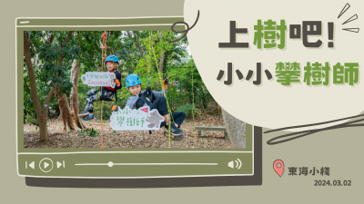 上樹(shù)吧！小小攀樹(shù)師